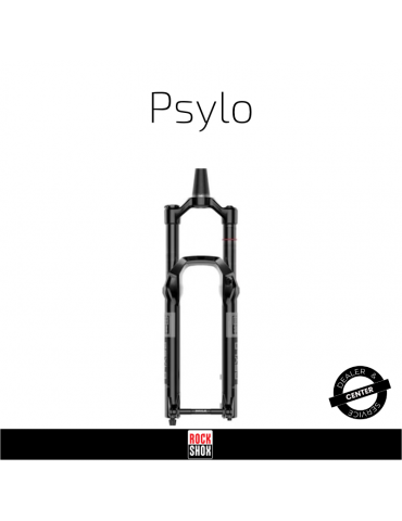 Entretien fourche RockShox Psylo