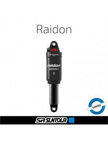 Service SR SUNTOUR Raidon