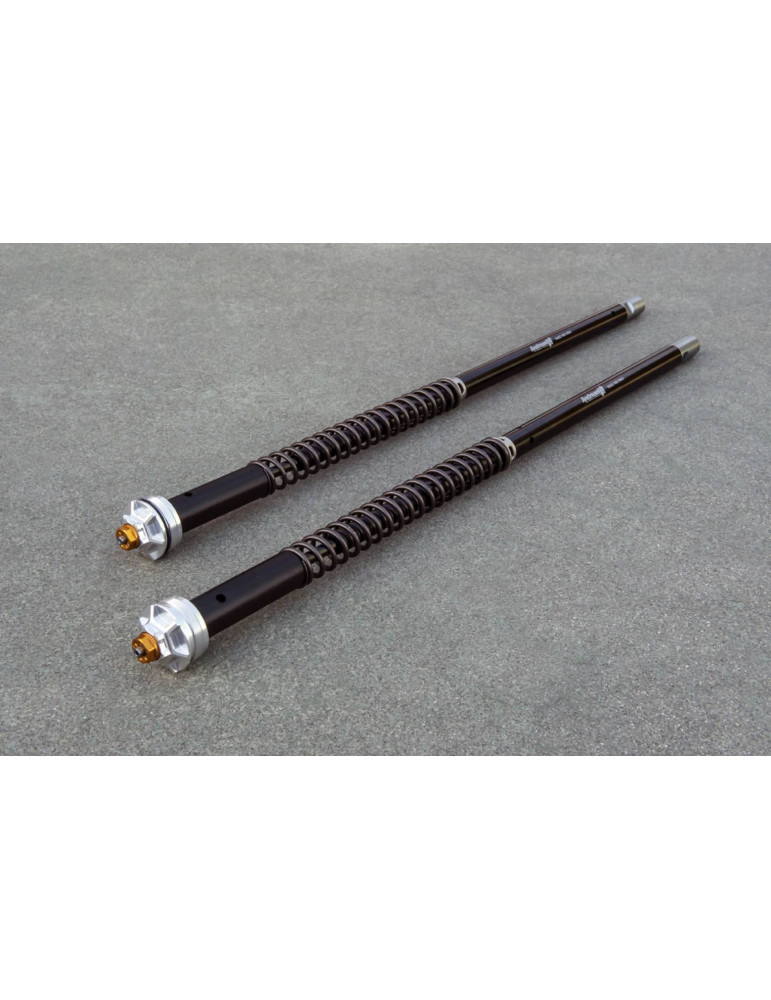 Kit cartouche Andreani