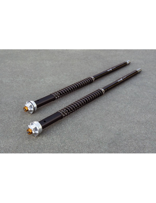 Kit cartouche Andreani