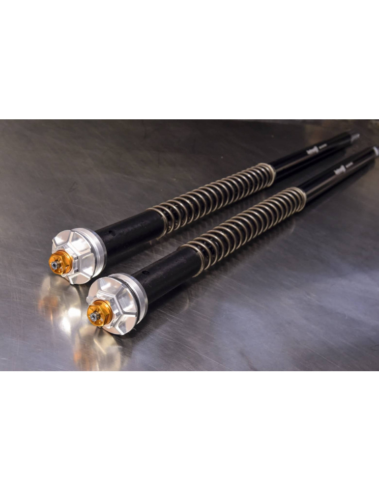 Kit cartouche Andreani