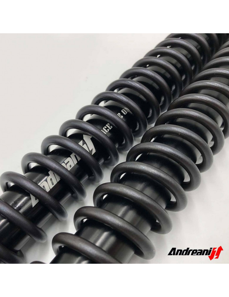 Kit cartouche Andreani