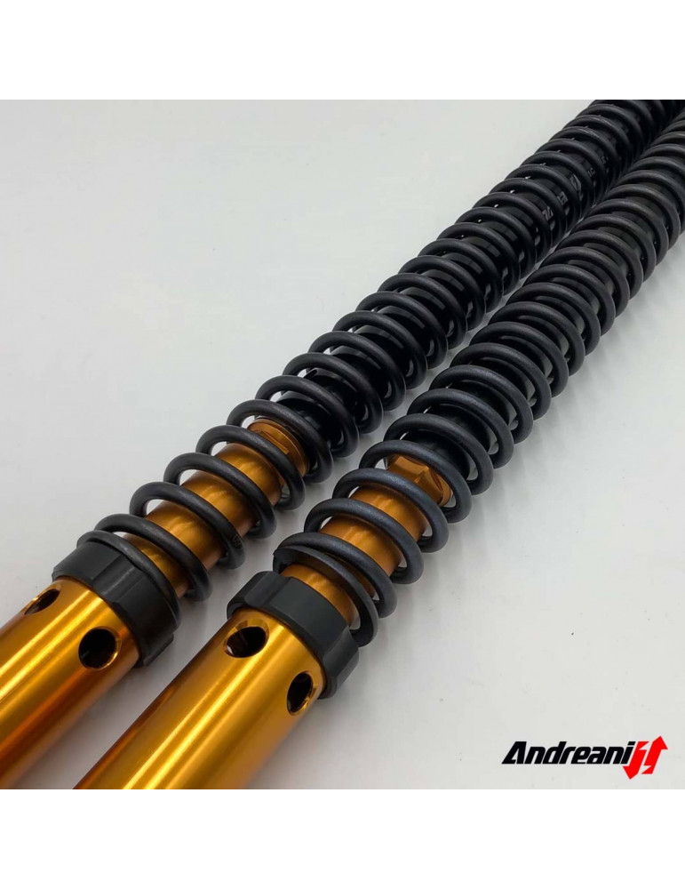 Kit cartouche Andreani