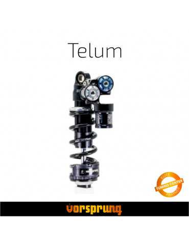 Entretien amortisseur VORSPRUNG Telum