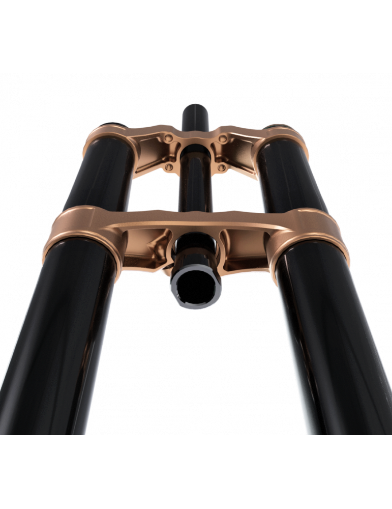 Fourche EXT VAIA DH - E-Bike - Freeride