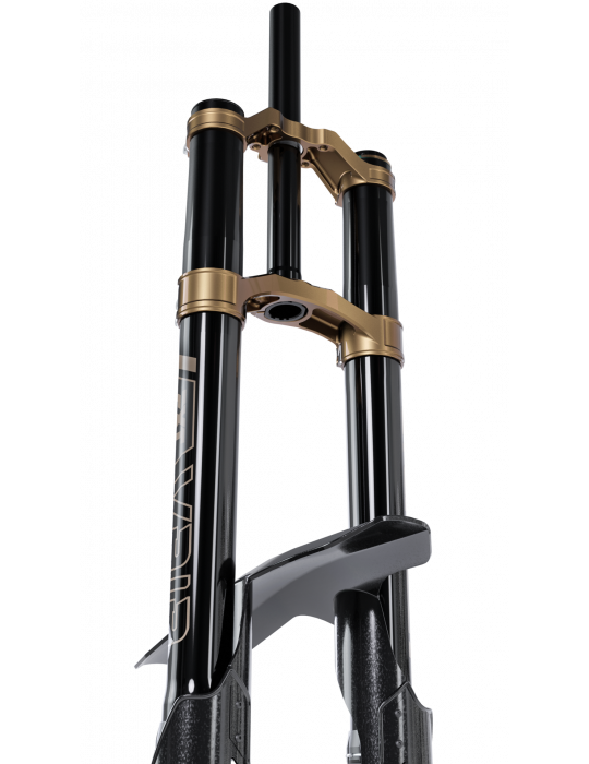 Fourche EXT VAIA DH - E-Bike - Freeride