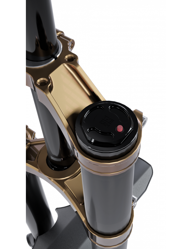 Fourche EXT VAIA DH - E-Bike - Freeride