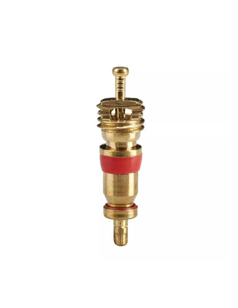 Obus de valve Schrader