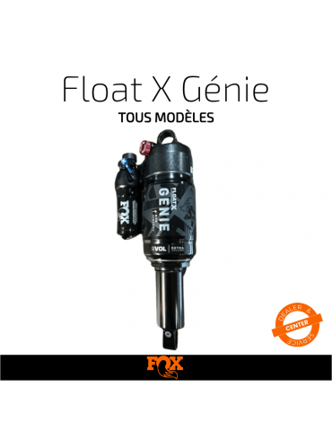 Entretien amortisseur FOX Float X