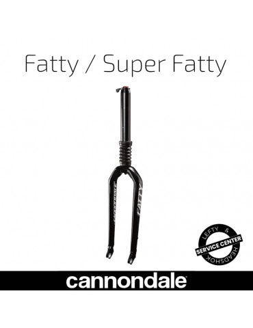 Fourche Lefty Fatty/Super Fatty | Entretien Cannondale