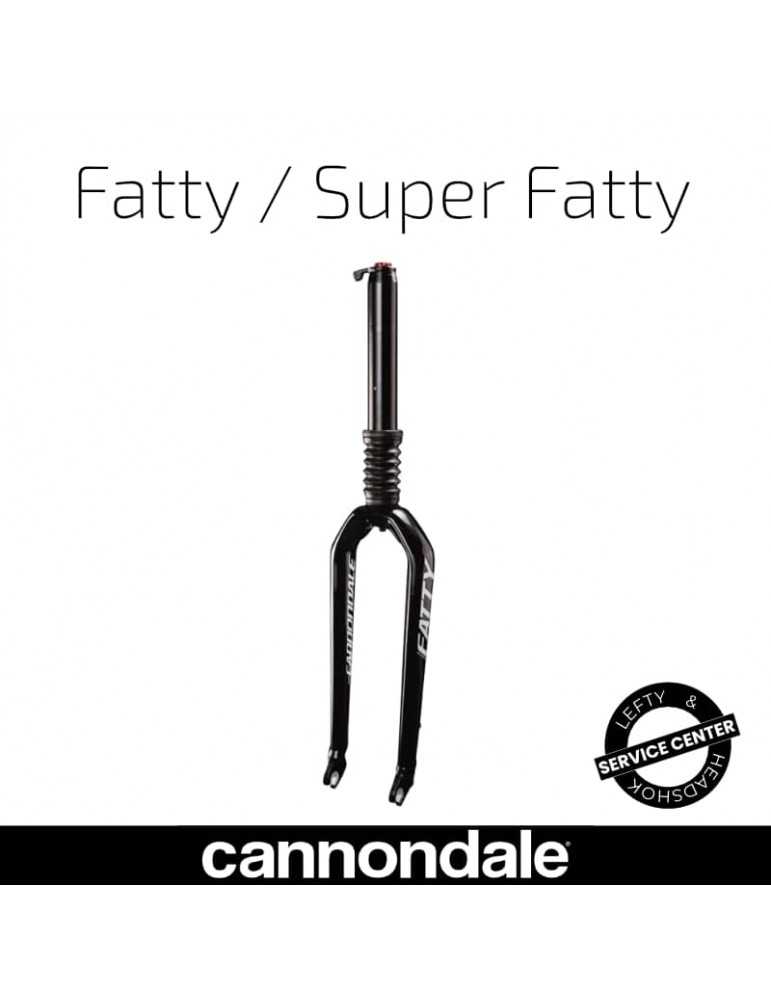 Entretien Lefty Fatty Cannondale