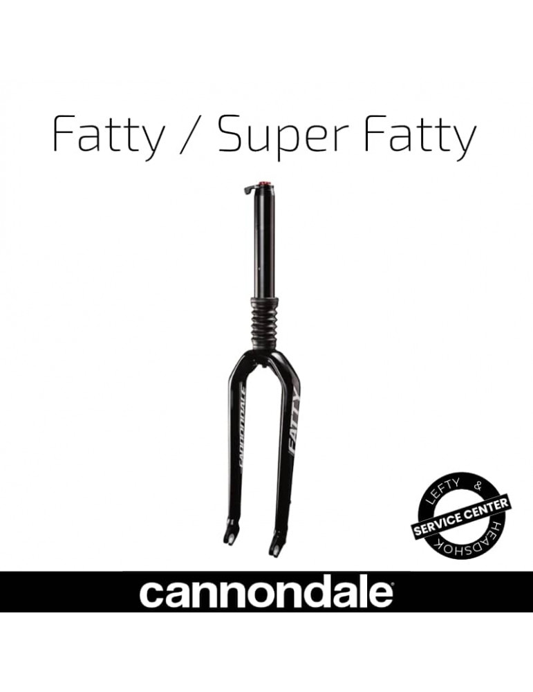 Fourche Lefty Fatty/Super Fatty | Entretien Cannondale