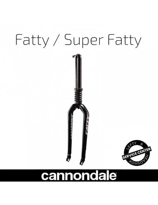 Entretien Lefty Fatty Cannondale