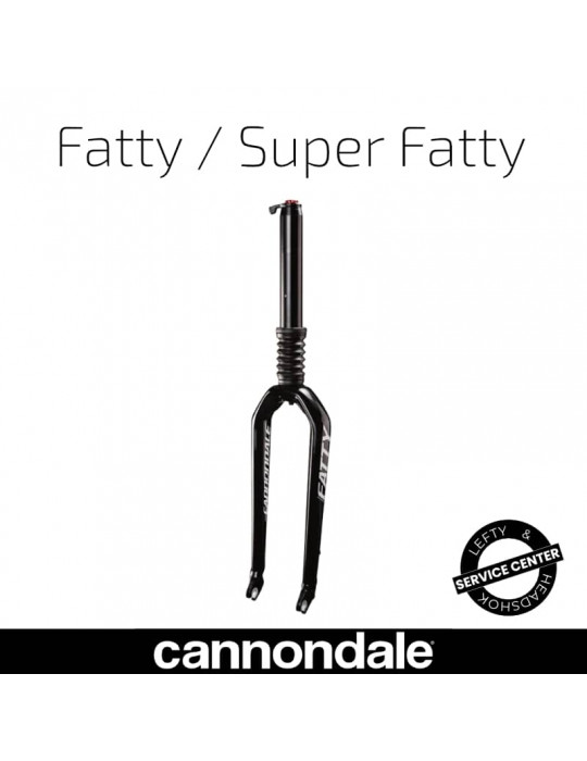 Fourche Lefty Fatty/Super Fatty | Entretien Cannondale