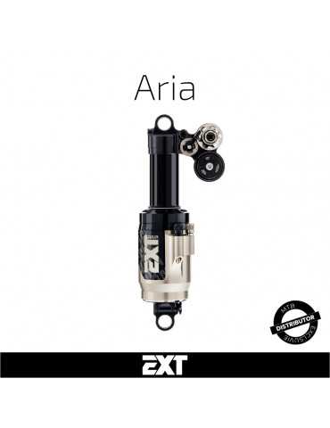 Entretien amortisseur EXT Aria