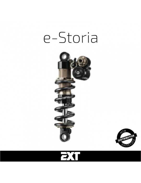 Entretien amortisseur EXT e-Storia