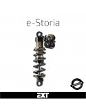 Entretien amortisseur EXT e-Storia