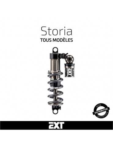 Entretien amortisseur EXT Storia