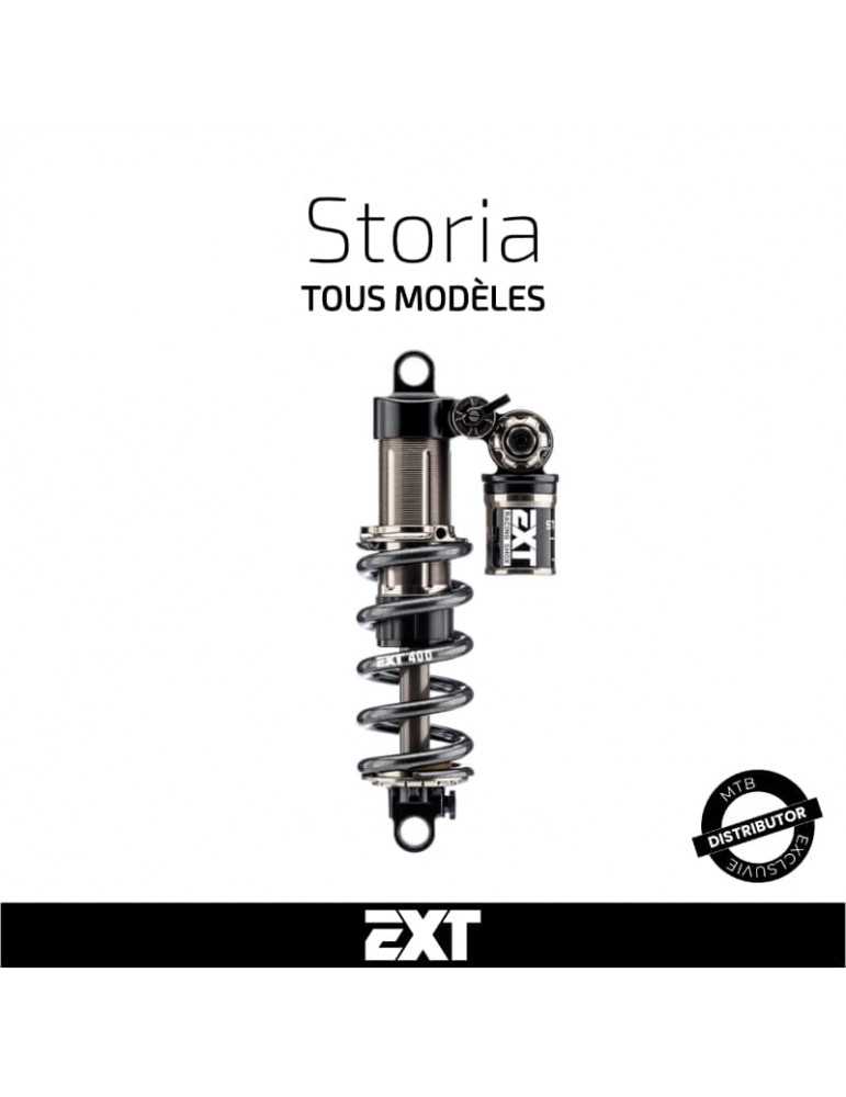 Entretien amortisseur EXT Storia