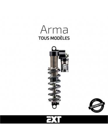 Entretien amortisseur EXT Arma