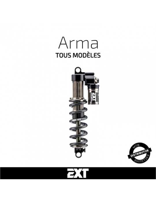 Entretien amortisseur EXT Arma