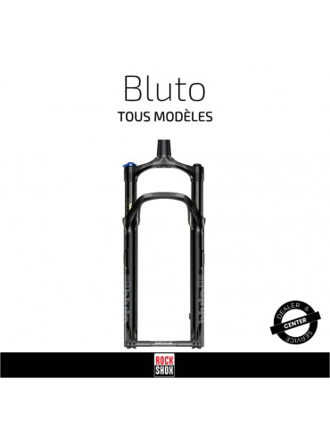 Service Bluto RockShox