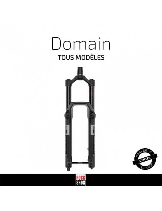 Entretien fourche RockShox Domain