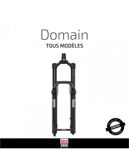 Fourche Domain RockShox | Entretien & préparations RockShox