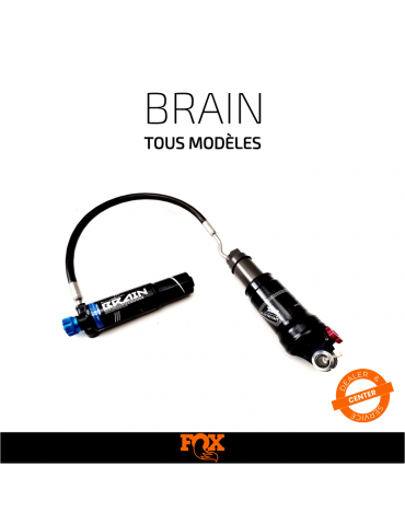Service FOX BRAIN | Entretien & préparation