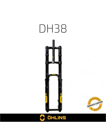 Fourche ÖHLINS DH 38 | Services ÖHLINS