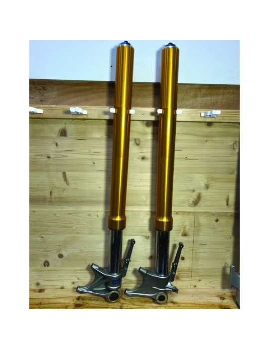 Fourche Öhlins Ducati Multistrada 1200 S 2010-2012 %separator% Occasion