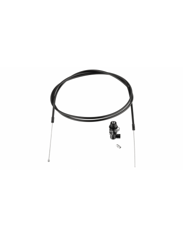 Kit de conversion DeHy Reverb B1 (MY 2017-2019)